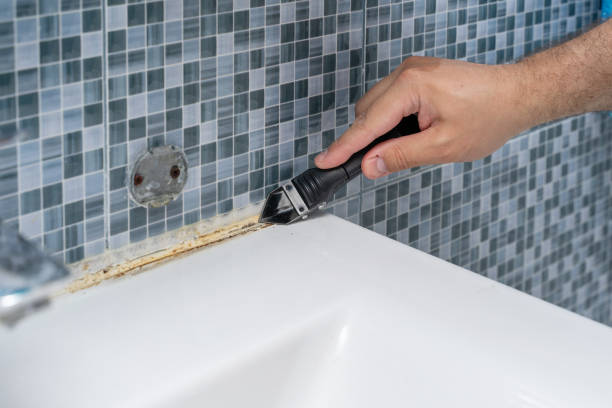 Best Mold Remediation for Schools in Cherryville, PA